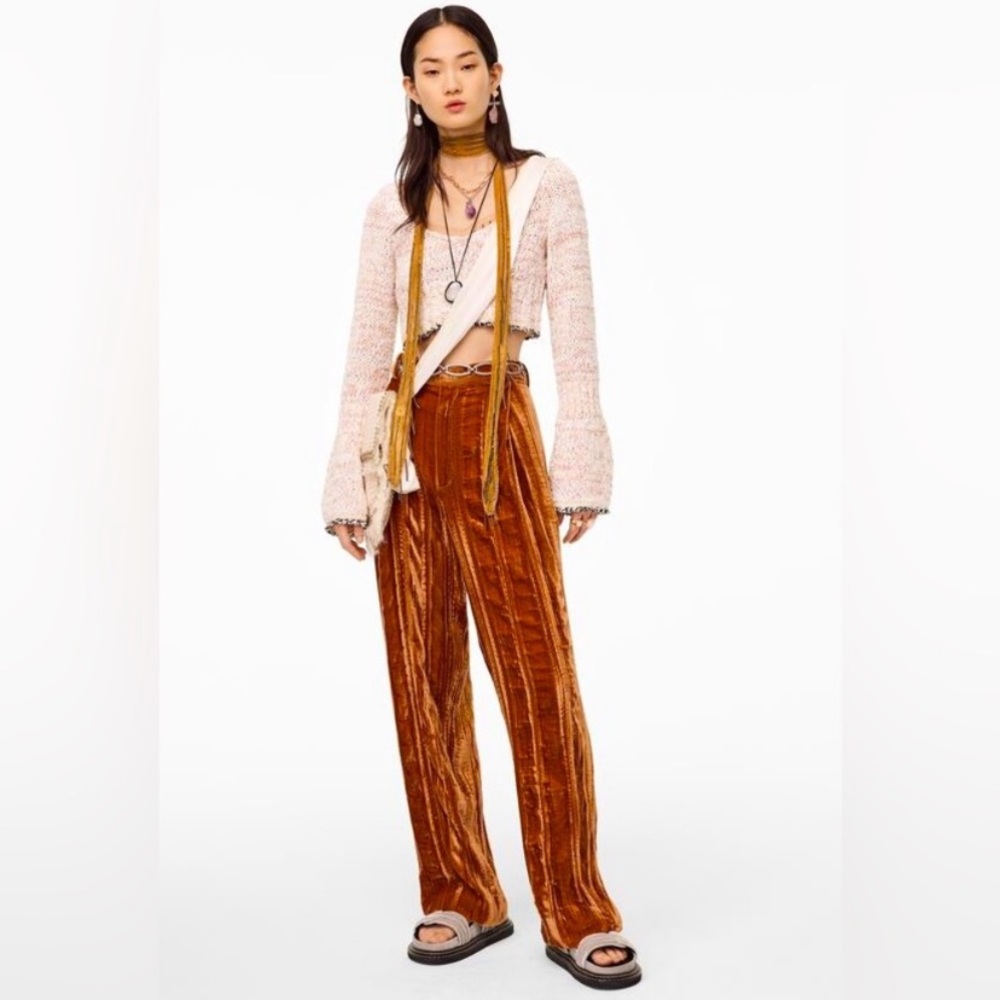 Zara limited edition velvet pants NWOT
